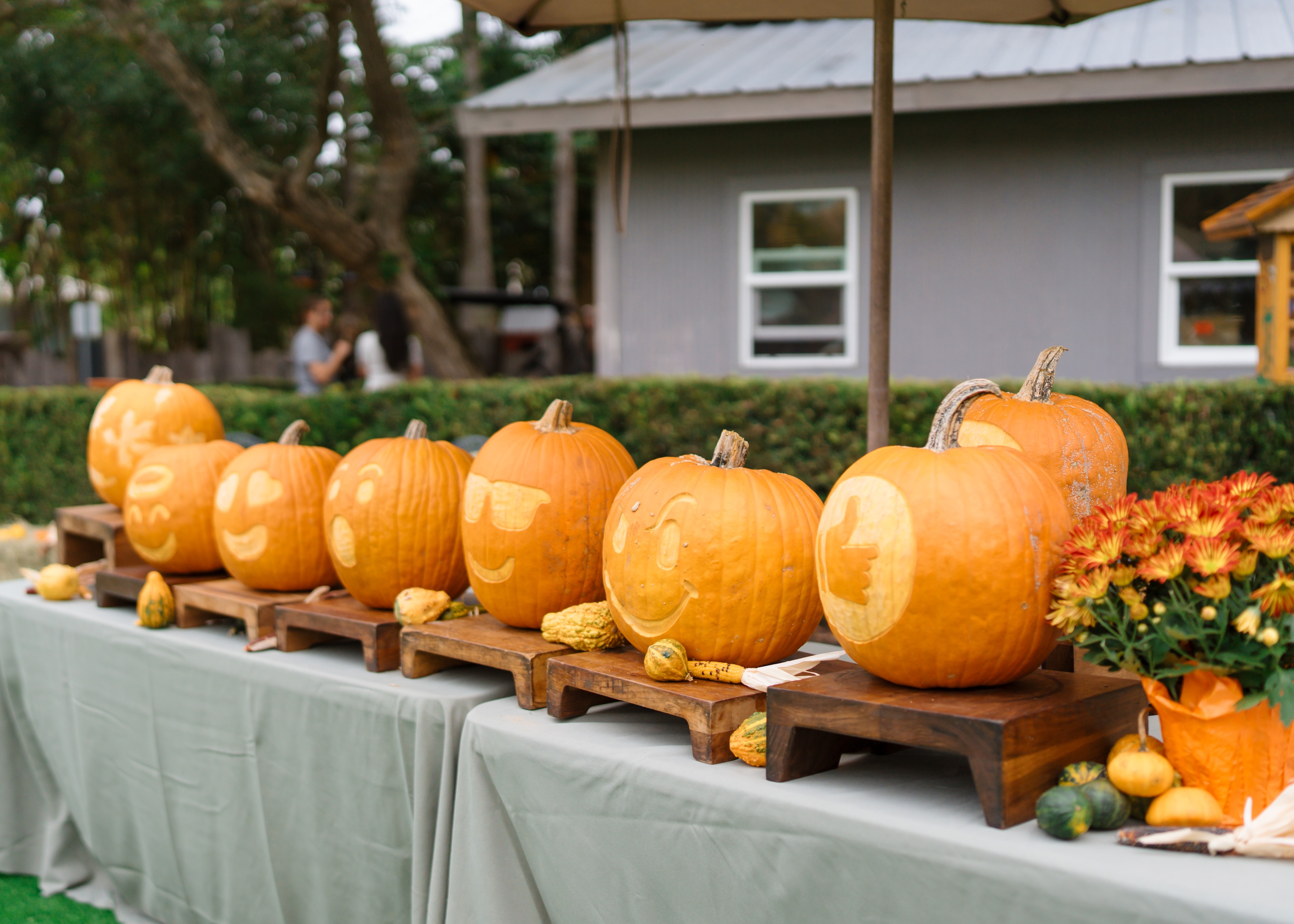 Fall Festival at Grande Lakes Orlando at Grande Lakes Orlando